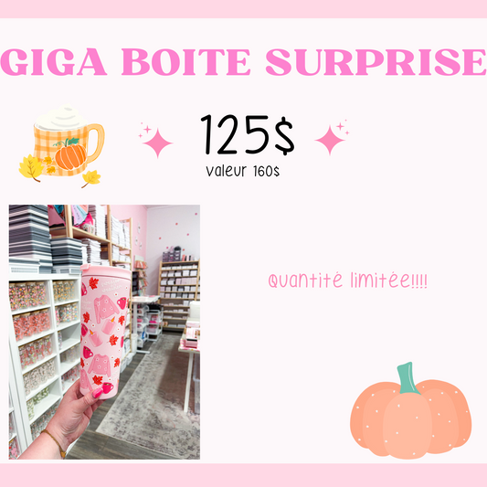 Giga Boite Surprise | ÉDITION TOUTE LES COLLECTIONS